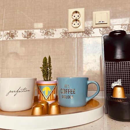 شقة Apartament تيميشورا المظهر الخارجي الصورة